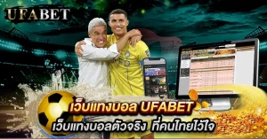เว็บแทงบอล